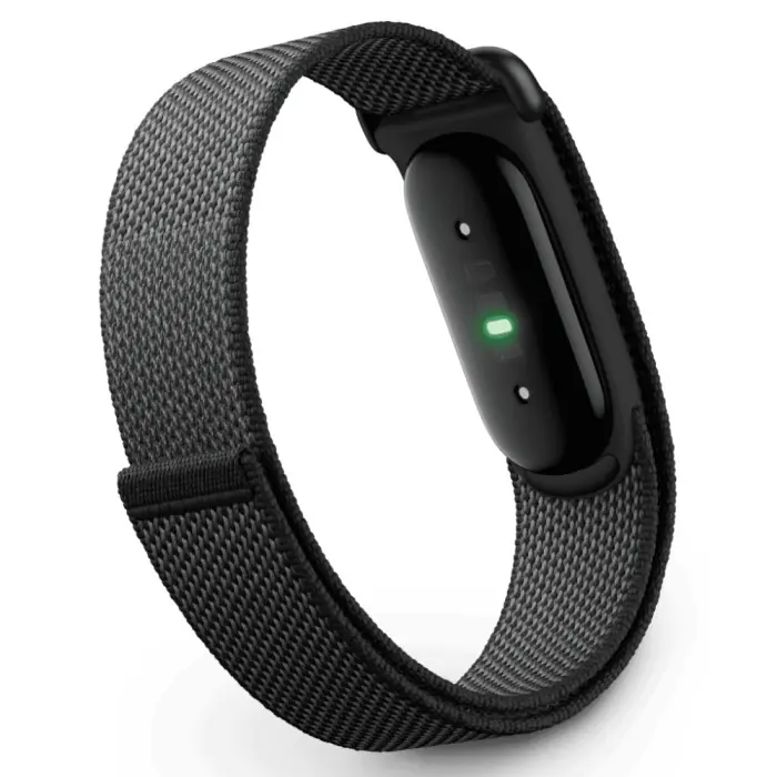 Фитнес-браслет Google Fitbit Air Obsidian